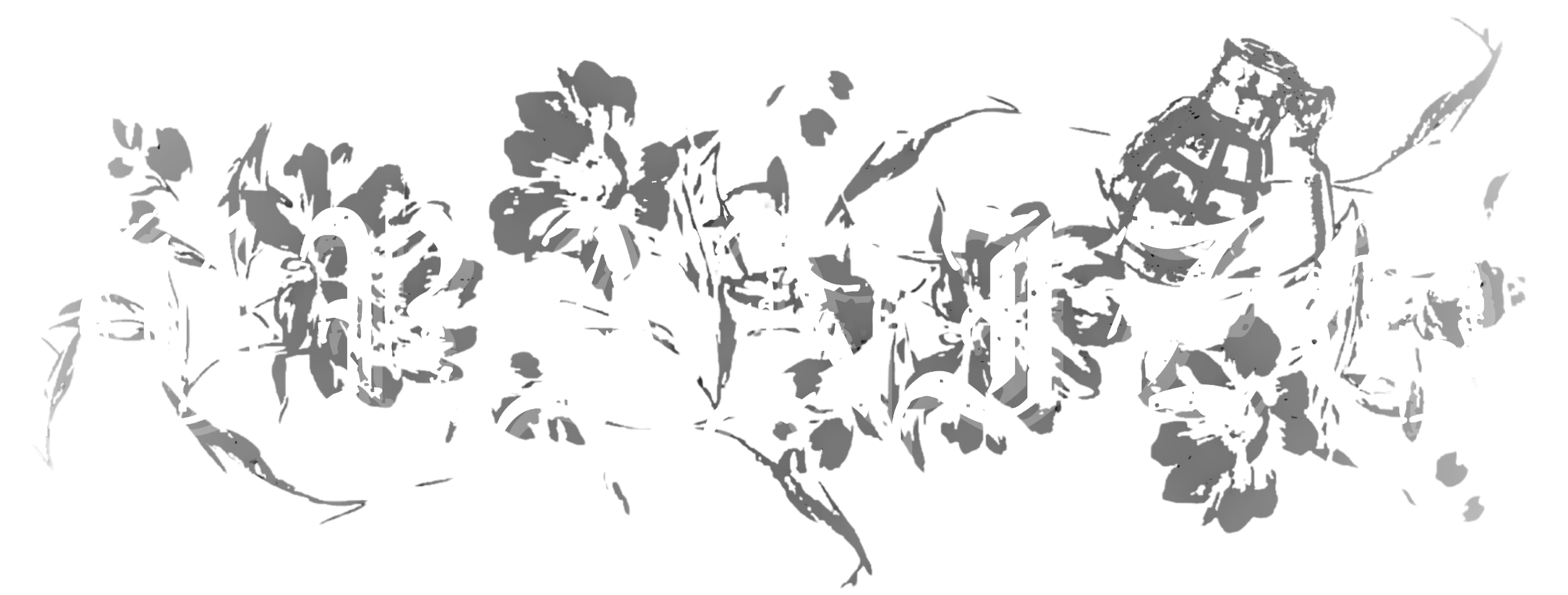 Granizo logo
